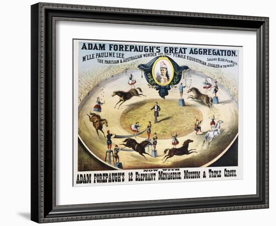 Adam Forepaugh's Great Aggregation Poster-null-Framed Giclee Print