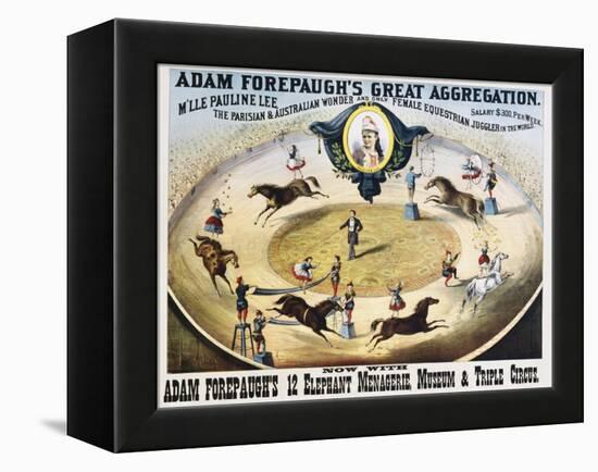 Adam Forepaugh's Great Aggregation Poster-null-Framed Premier Image Canvas