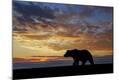 Photographic Print