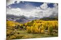 Premium Photographic Print