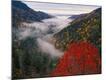 Premium Photographic Print
