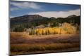 Photographic Print