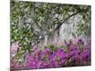 Premium Photographic Print