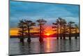 Premium Photographic Print