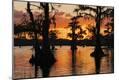 Photographic Print