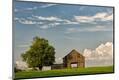 Photographic Print
