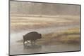 Premium Photographic Print