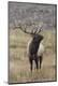 Premium Photographic Print