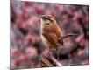 Premium Photographic Print