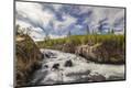 Premium Photographic Print
