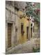 Photographic Print