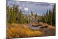 Photographic Print