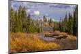 Photographic Print
