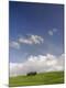 Photographic Print