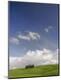 Photographic Print