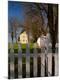 Photographic Print