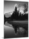 Premium Photographic Print