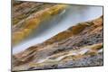 Premium Photographic Print