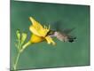 Premium Photographic Print