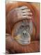 Premium Photographic Print