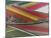 Premium Photographic Print