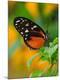 Premium Photographic Print