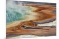 Premium Photographic Print