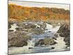 Premium Photographic Print