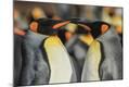Premium Photographic Print