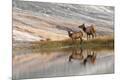 Premium Photographic Print