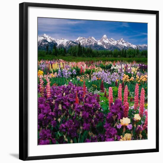 Photographic Print, , large