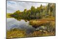Photographic Print