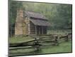 Photographic Print