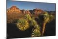 Photographic Print