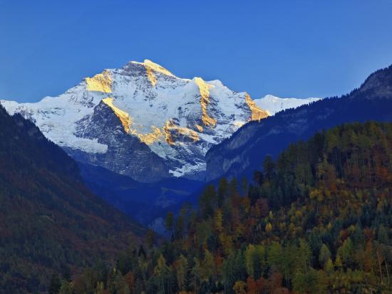 Photographic Print, , large