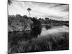 Premium Photographic Print