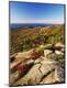 Premium Photographic Print