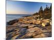 Photographic Print