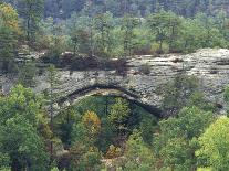 Natural Arch, Daniel Boone National Forest, Whitley City, Kentucky, USA-Adam Jones-Photographic Print