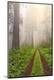 Premium Photographic Print