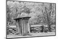 Photographic Print