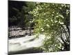 Premium Photographic Print