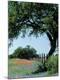 Premium Photographic Print