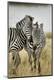 Premium Photographic Print