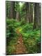 Premium Photographic Print