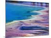 Photographic Print