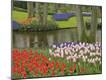Premium Photographic Print