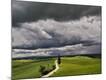 Photographic Print