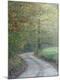 Premium Photographic Print