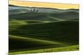 Premium Photographic Print